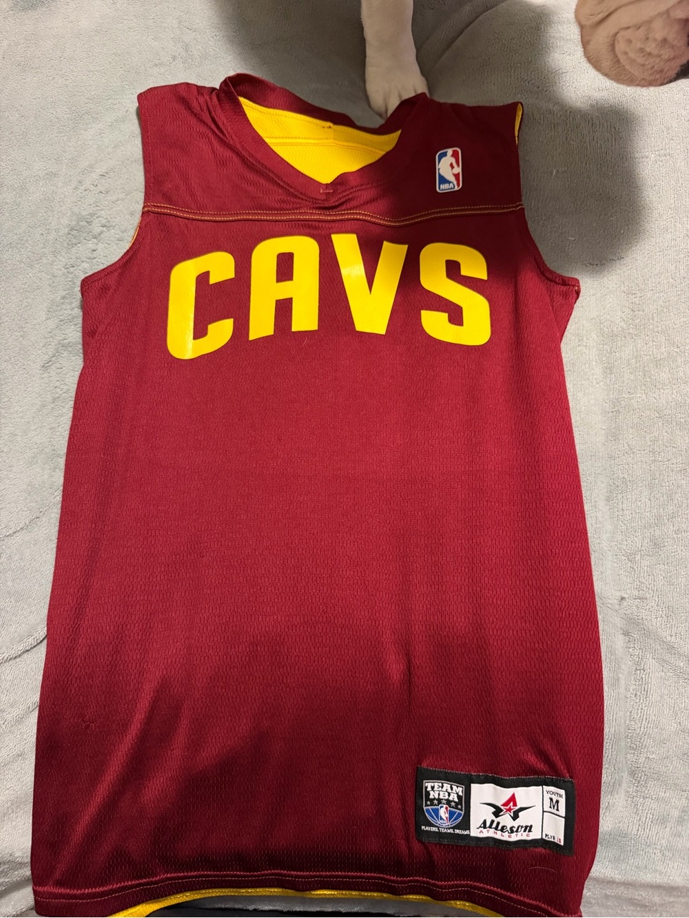 NBA Kids' Cavs Sleeveless Jersey - Maroon & Yellow